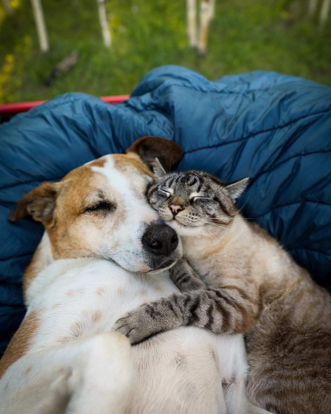 friends