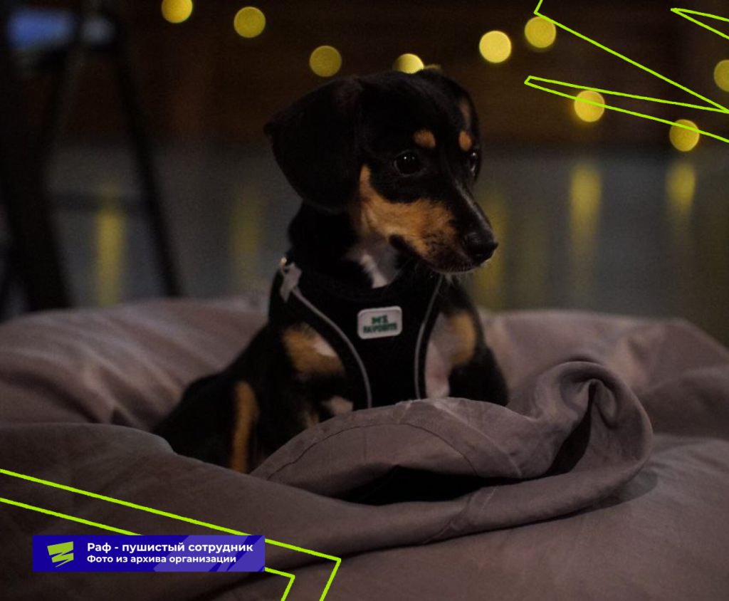 Плашки для видео (29).png