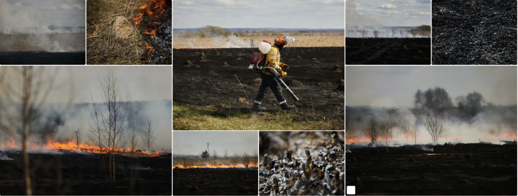 Снимок экрана 2025-03-20 в 10.45.04.png