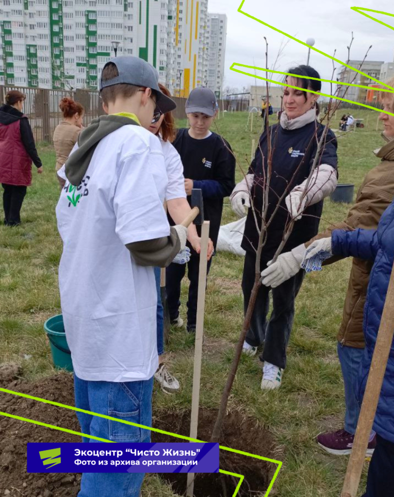 Плашки для видео (26).png