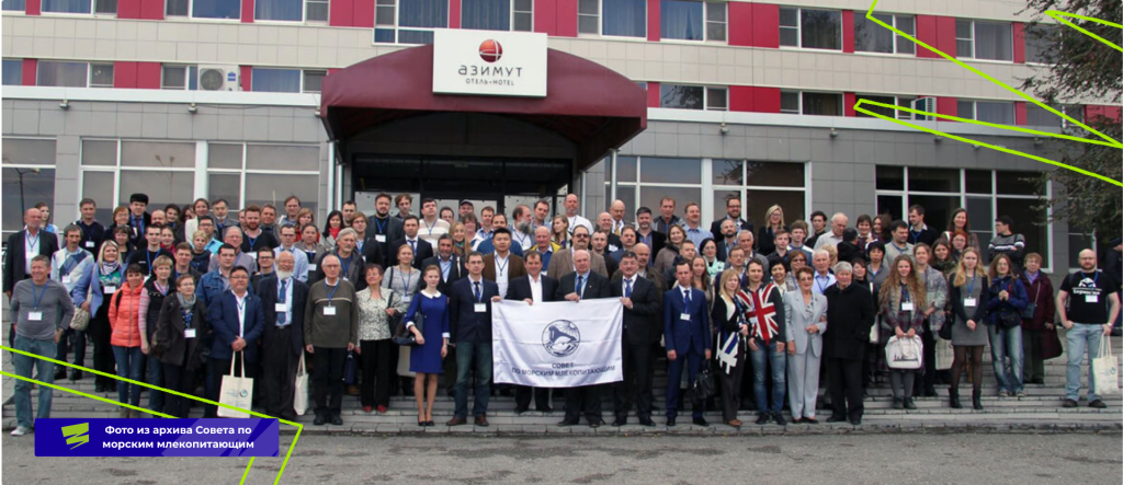 Плашки для видео (13).png