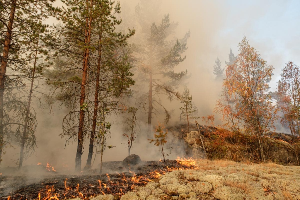 SavinovaDSCF6592.jpg