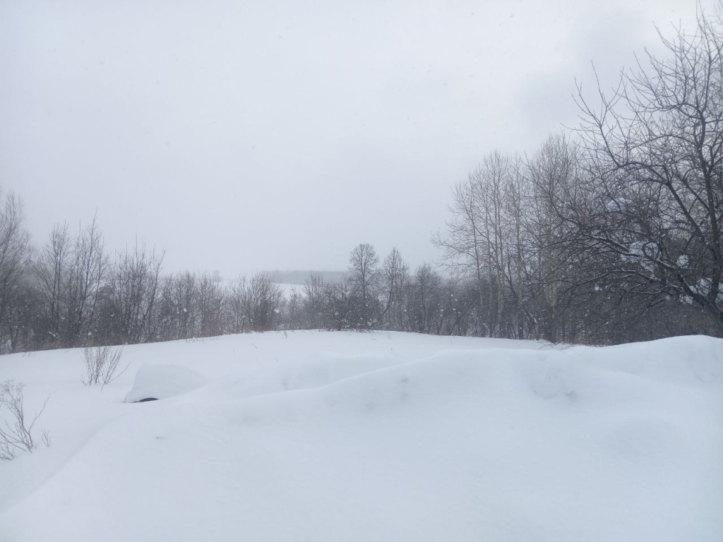 питомник.jpg питомник.jpg