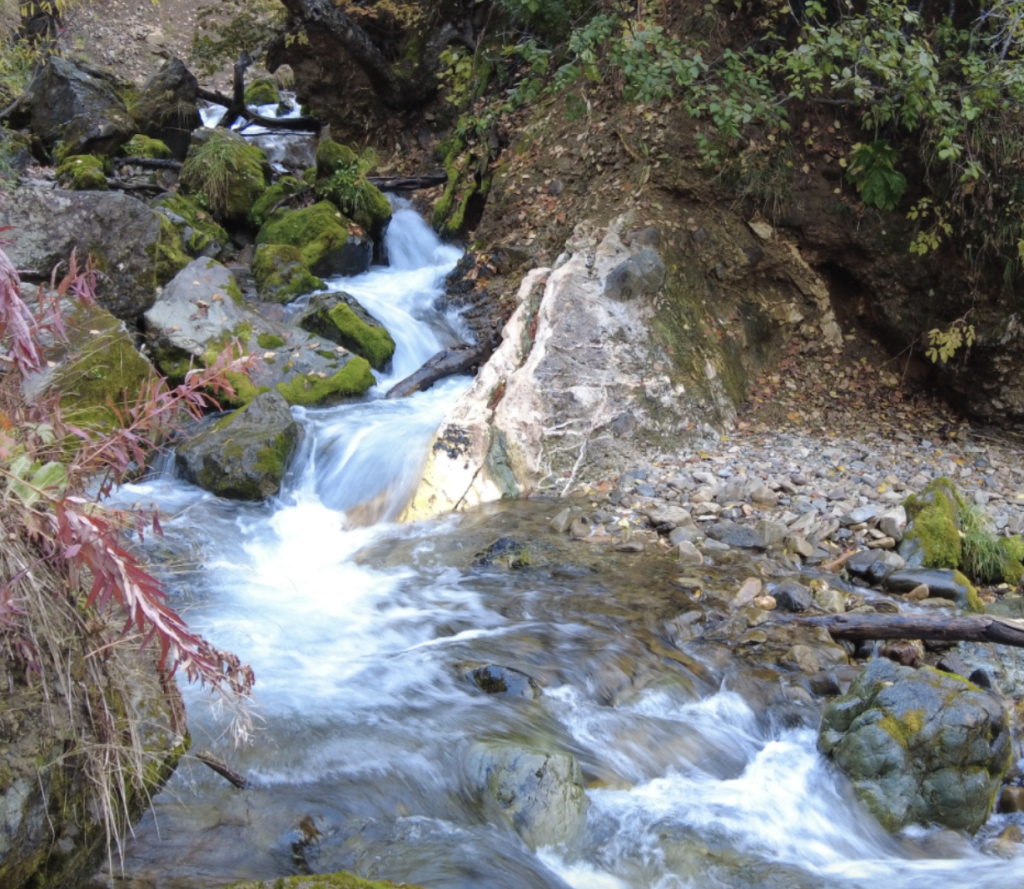 Снимок экрана 2023-08-21 в 14.16.40.png