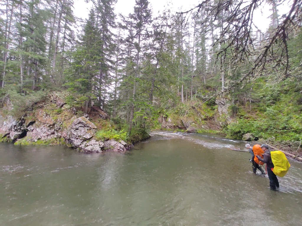https://zovprirody.org/upload/medialibrary/d86/6jmrtmfdiz3x3ggxuhw5ebzsps320b3f.JPG